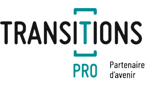 Transition Pro