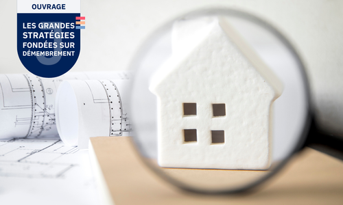 Les grandes strategies fondees sur demembrement