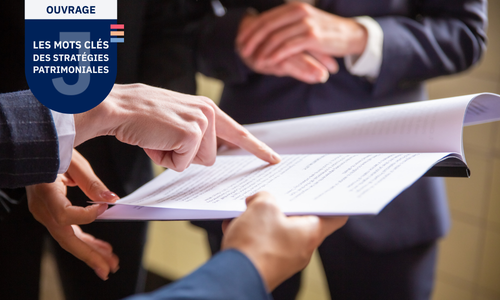 Les mots cles des strategies patrimoniales les aspects civils 1